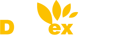 Dataexpert